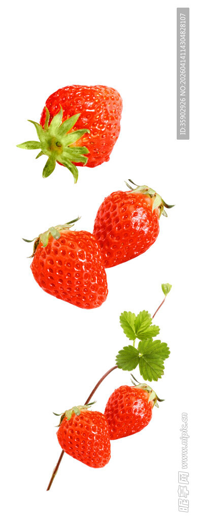 新鲜草莓与三叶草组合