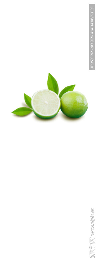 青柠切片清新绿意