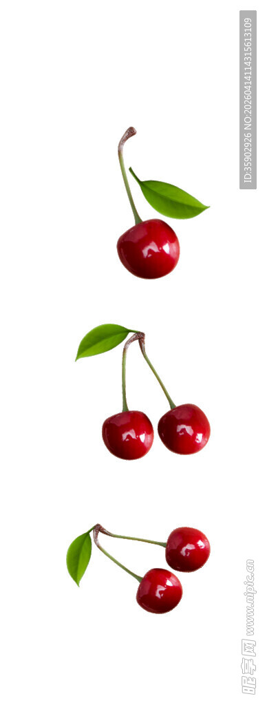 新鲜樱桃果实与绿叶组合