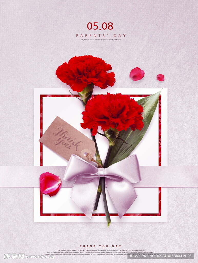 红色康乃馨花束精美展示