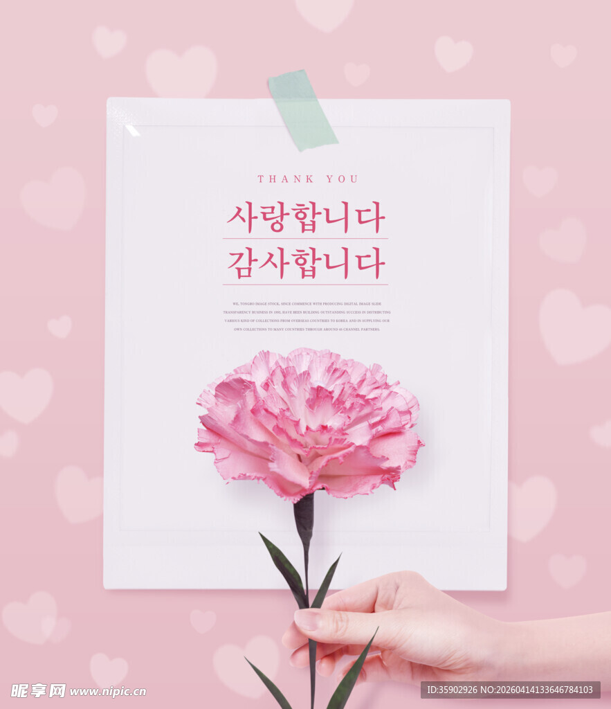 手捧粉色康乃馨的温馨画面