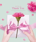 双手递感恩信与康乃馨