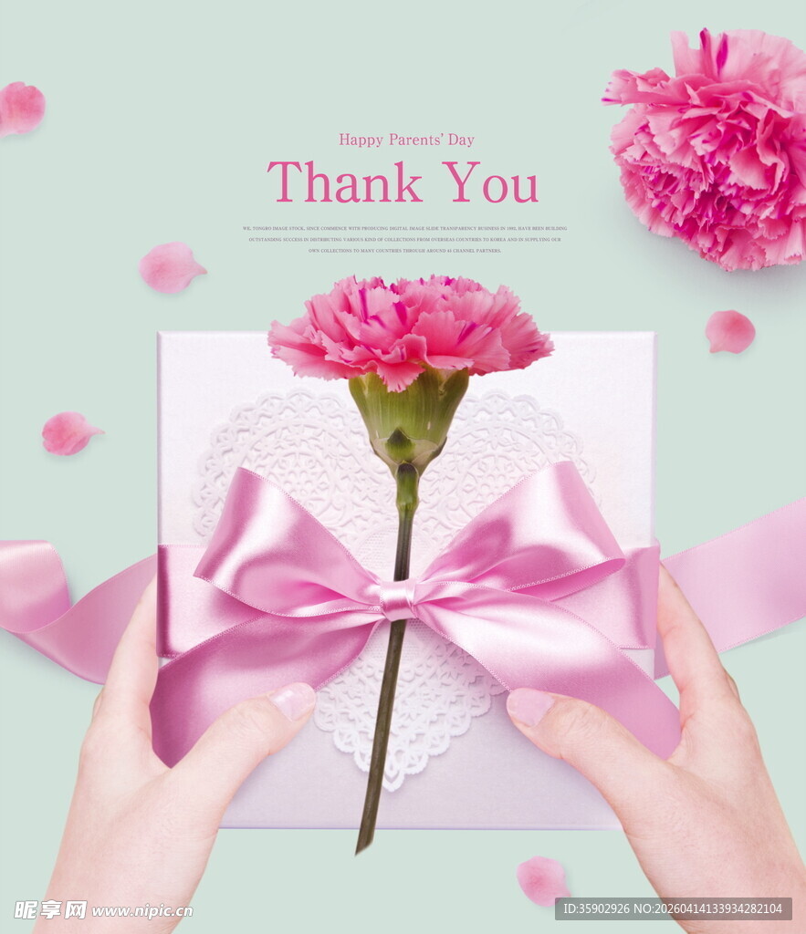 双手递感恩信与康乃馨