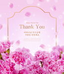 粉色康乃馨感恩背景图