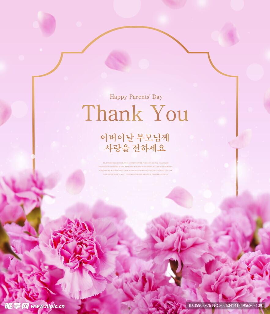 粉色康乃馨感恩背景图