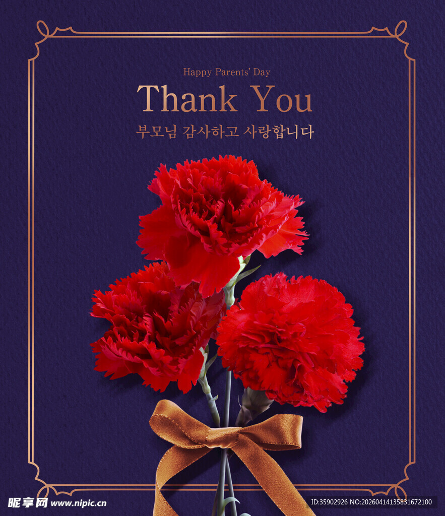 紫色背景红色康乃馨谢礼图