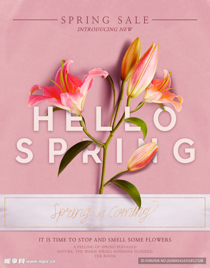 春日花卉海报