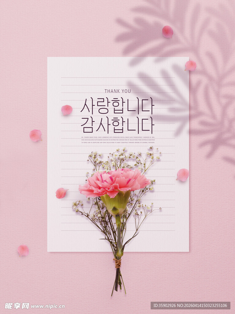 粉色背景下的鲜花与卡片