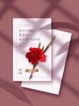 红康乃馨贺卡设计图