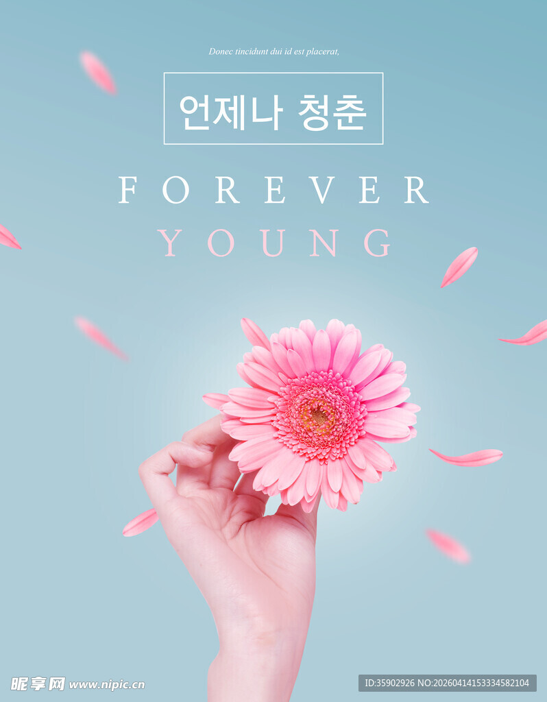 手捧雏菊绽放永恒青春