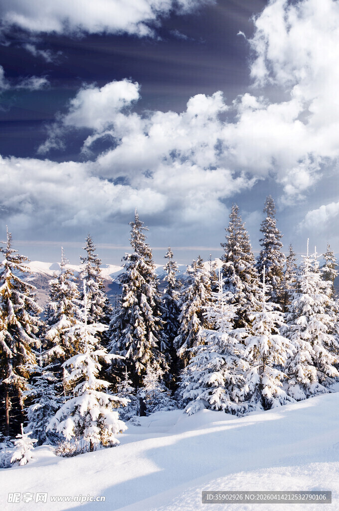 雪覆山林的冬日美景