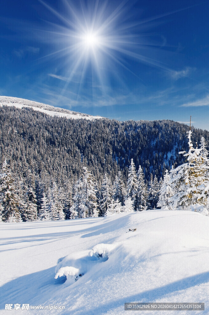 冬日雪景中的灿烂阳光