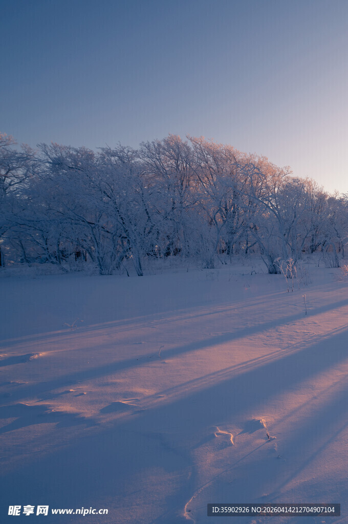 冬日雪野晨光美景