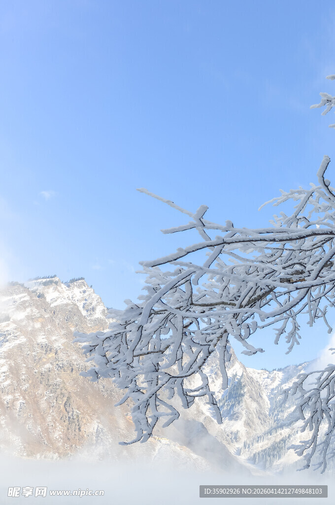 冬日雪景枝头覆雪的山峦