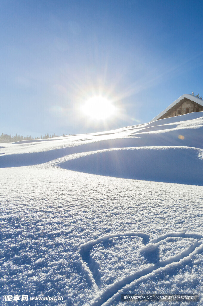 雪地阳光美景