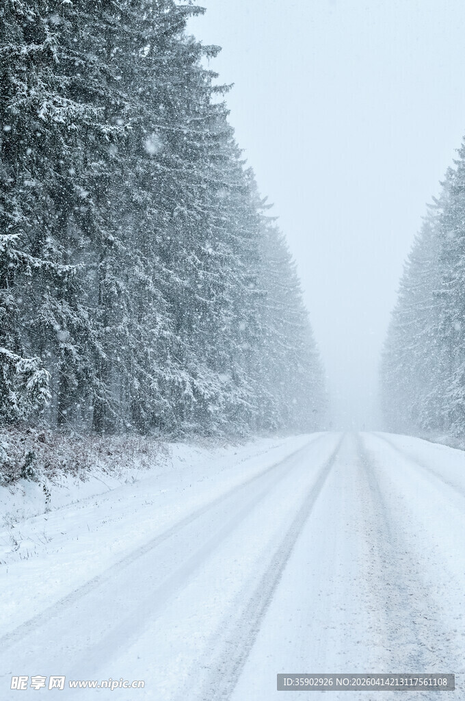 雪覆道路林间雪景如画