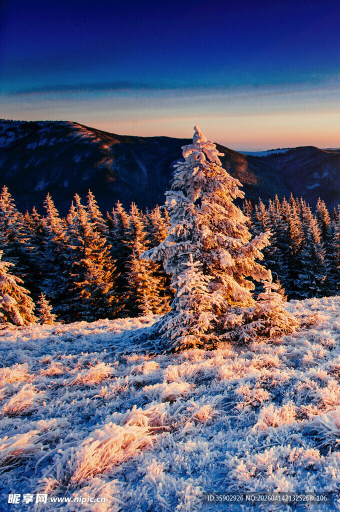 雪覆山林的绝美冬日景象