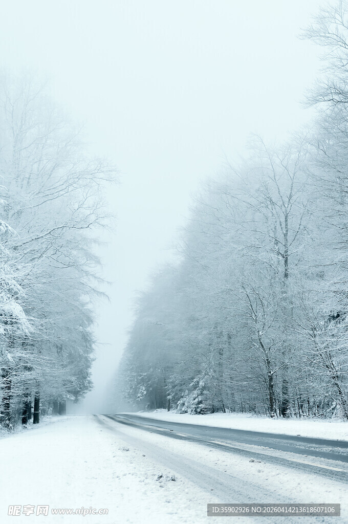 冬日雪覆公路美景