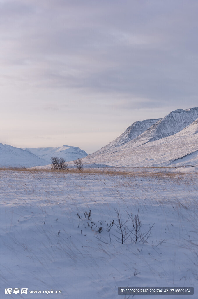 冬日雪境中的旷野与远山