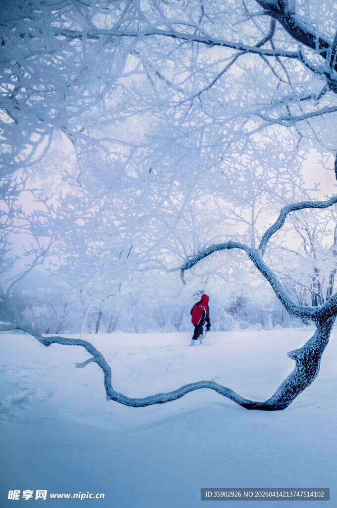 雪地红衣人独赏冬日美景