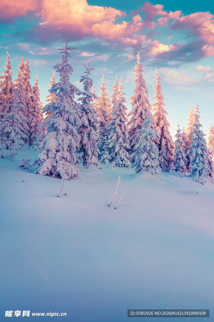 梦幻雪景中的雪覆松林