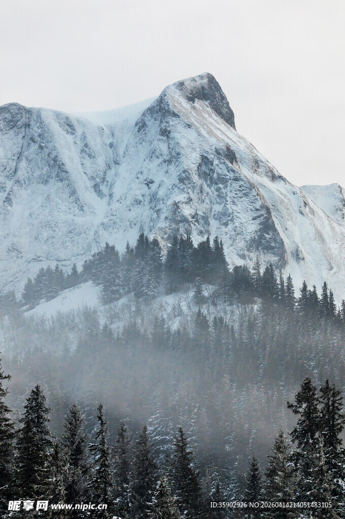 雪覆山峦林间雾霭弥漫