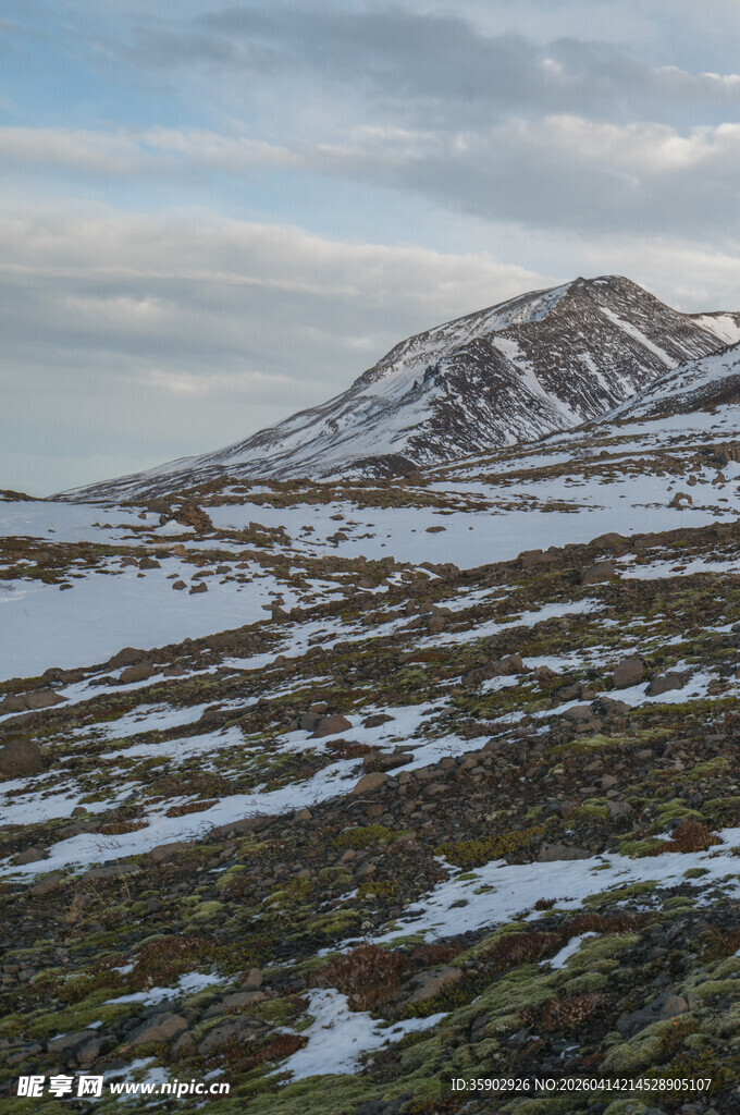 雪山草地风景图