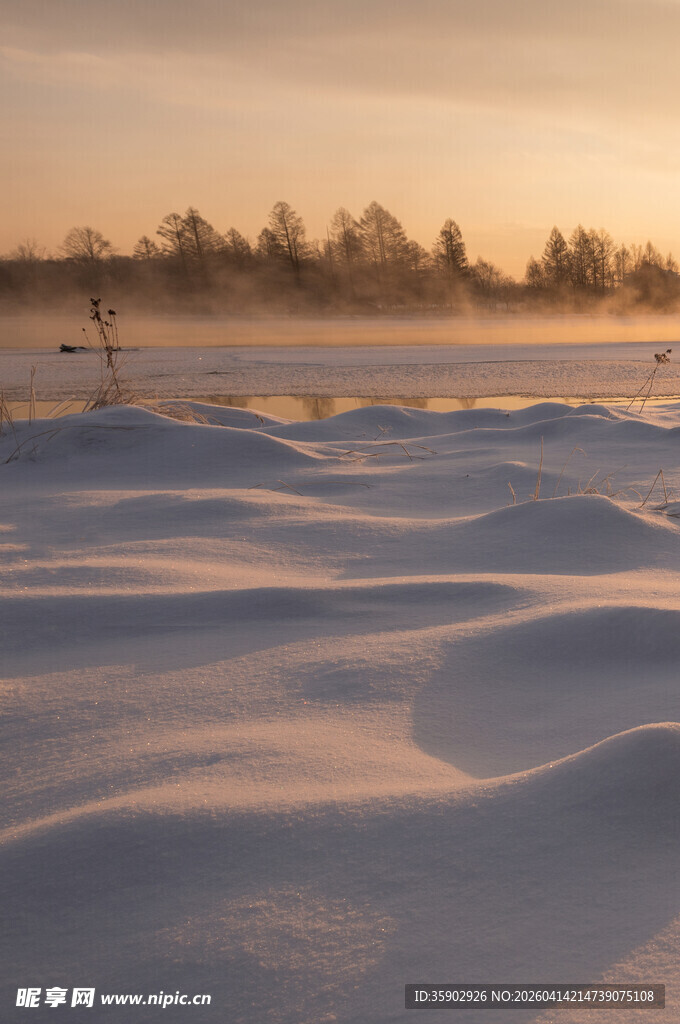 冬日雪野的静谧美景