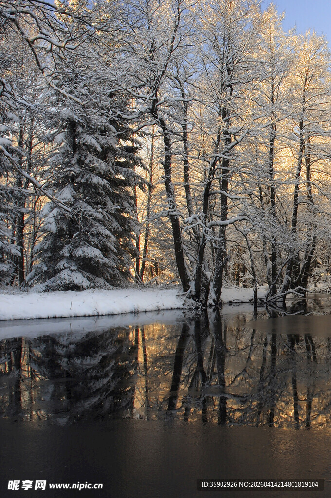 冬日雪林湖畔美丽倒影