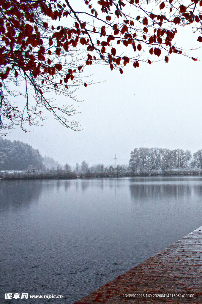 湖畔雪景红叶静美画面