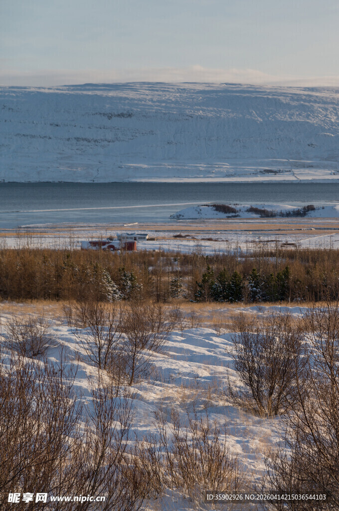 冬日雪覆海岸风景