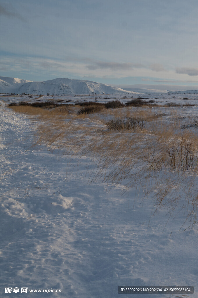冬日雪地旷野风景