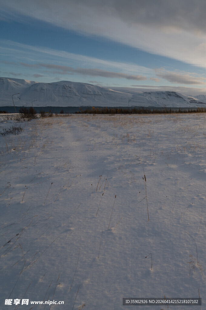 冬日雪地旷野风景