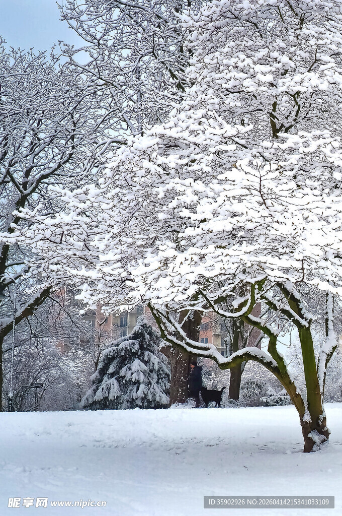 雪覆繁花的静谧冬日景象