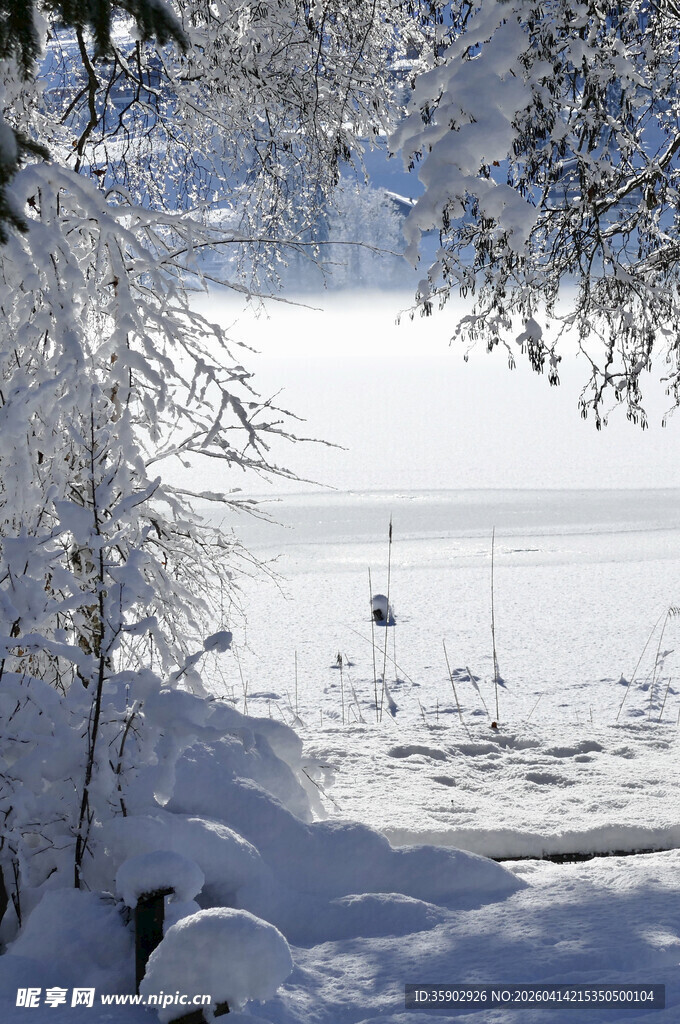 冬日雪景湖畔静谧风光