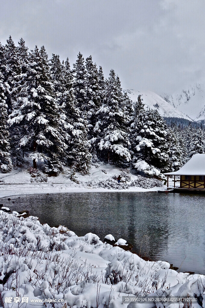 冬日雪覆湖畔静谧景致
