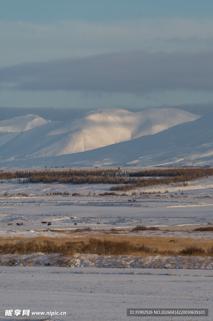 冬日旷野雪景