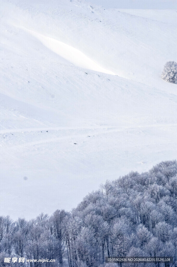 雪覆山林的冬日美景