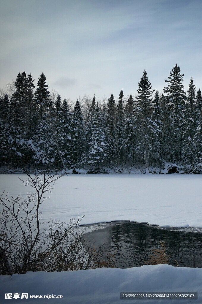 冬日雪覆森林湖泊美景