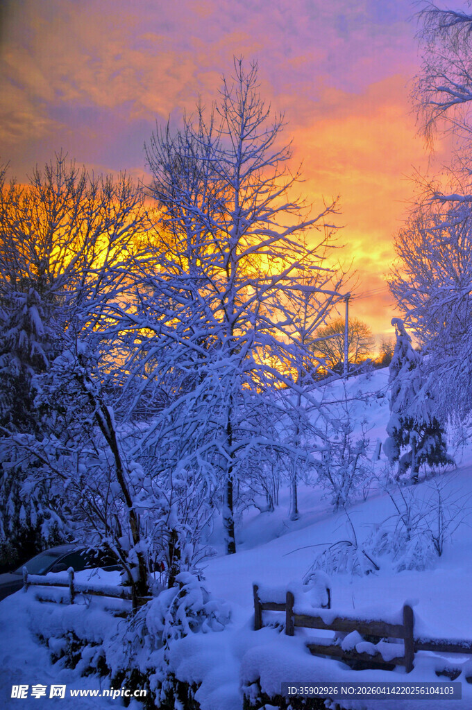 冬日雪后夕阳下的静谧景致
