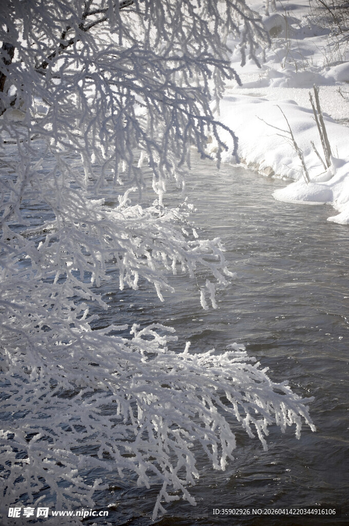 冬日河岸冰挂美景