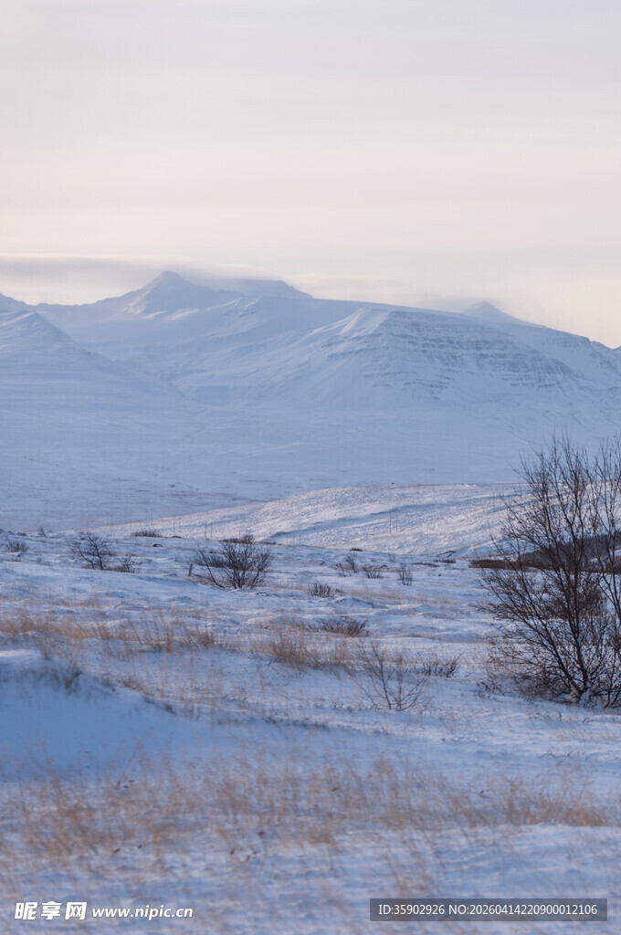 冬日雪覆原野景观