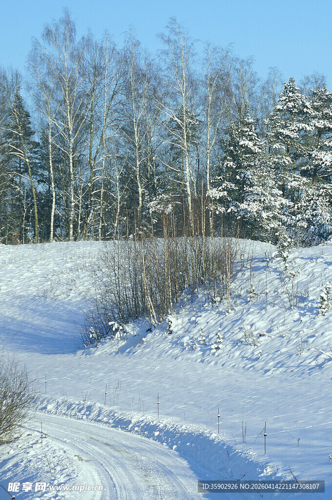 冬日雪野风景