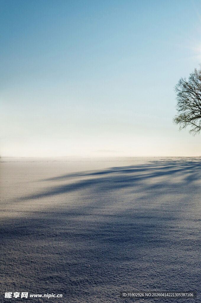雪地孤树静谧冬日景象