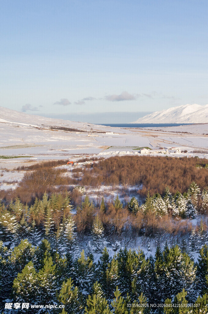 冬日雪覆山林景观