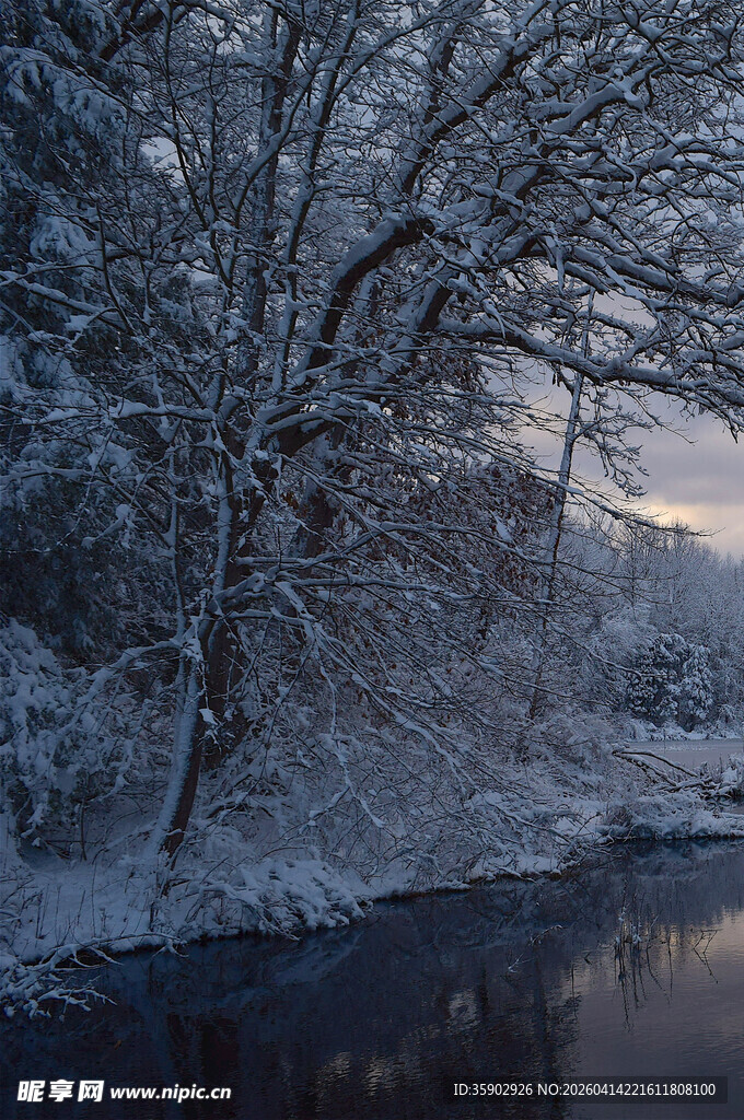 冬日河畔雪景