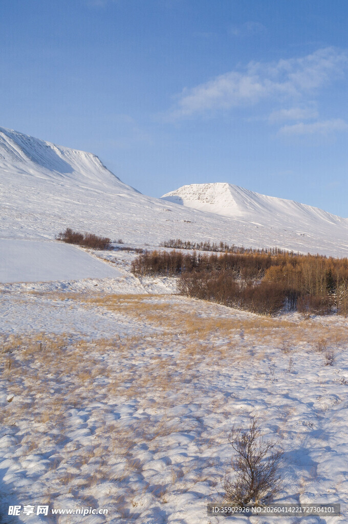 雪山下的雪地与枯黄草地