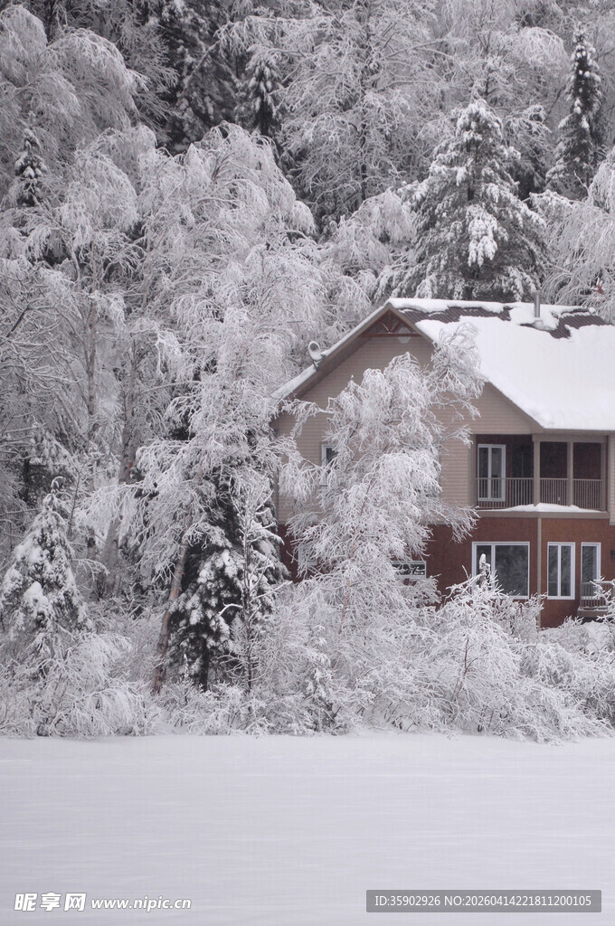 雪覆山林中的温馨小屋