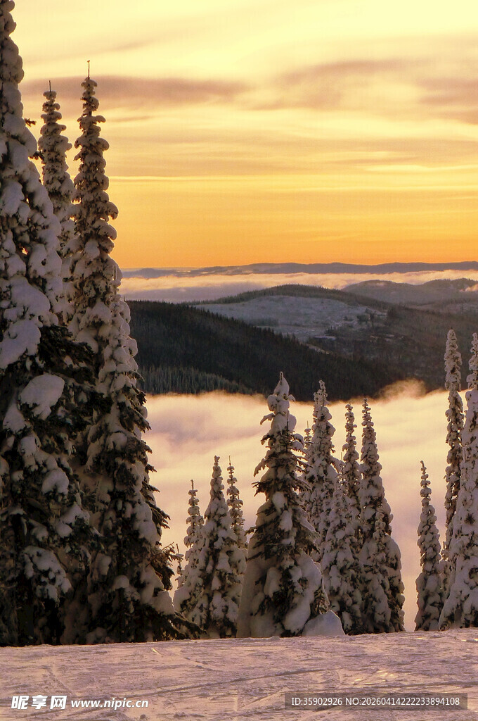 雪覆山林的黄昏美景