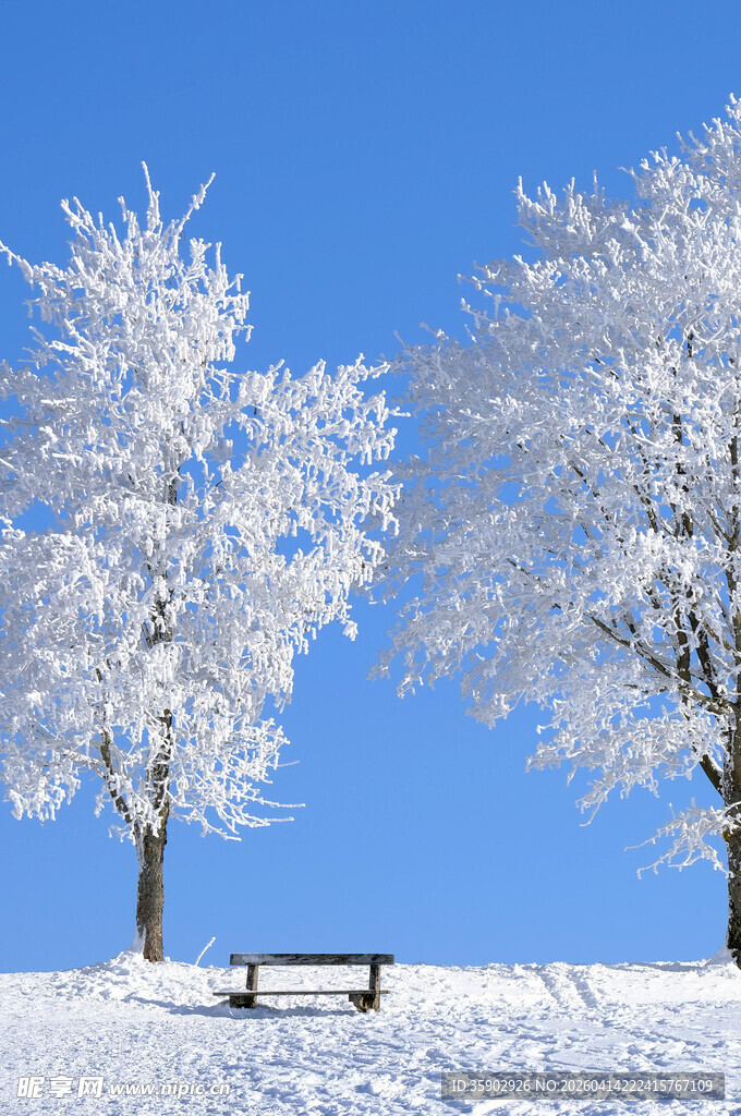 雪覆树木与长椅的冬日美景
